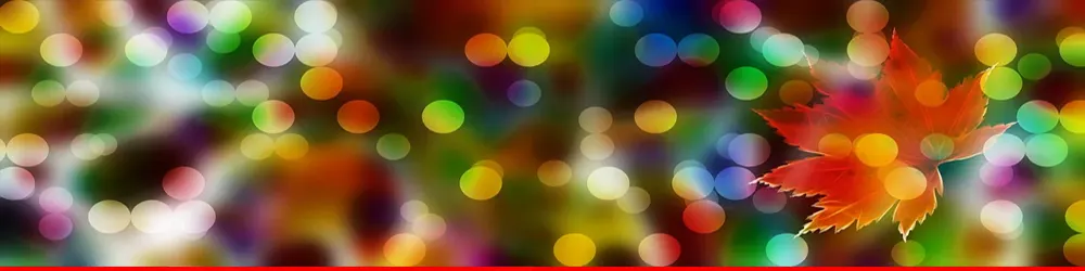 باغ چینی باغ چینی